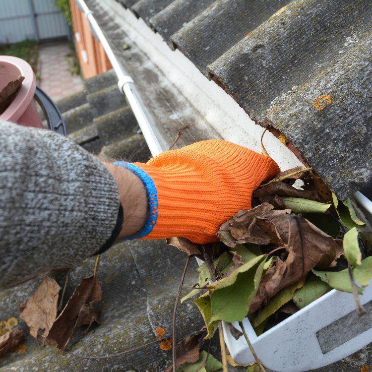 Gloved hand cleaning leaves from a roof gutter with orange and blue glove