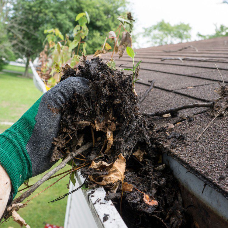 Gloved hand cleaning leaves and debris from roof gutter