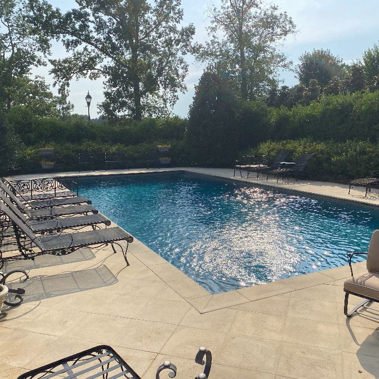 Backyard swimming pool with lounge chairs surrounded by trees and greenery